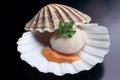 Isolated Fresh raw scallop - seafood Royalty Free Stock Photo