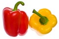 Isolated Fresh Red & Yellow Peppers Royalty Free Stock Photo