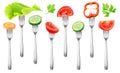 Isolated cut vegetables on a fork Royalty Free Stock Photo