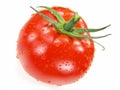 Isolated Fresh Tomato