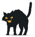 Isolated Frightened Black Cat over White Background, Vector Illustration