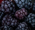 Isolated frozen blackberry with raspberry - macro