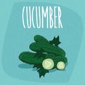 Isolated fruits cucumber vegetable whole and cut