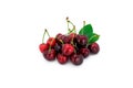 Handful fresh cherries with green leafs fruits cherry white background