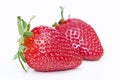 Isolated fruits - Strawberries Royalty Free Stock Photo