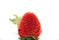 Isolated fruits - Strawberries Royalty Free Stock Photo