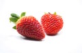 Isolated fruits - Strawberries Royalty Free Stock Photo