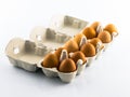 Isolated full egg carton Royalty Free Stock Photo