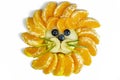 Isolated funny lion face composition with fruits like orange blueberry