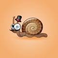 Isolated funny male snail.