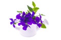 Isolated Garden design-bouquet of purple flowers in white wateri Royalty Free Stock Photo