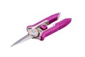 Isolated garden pruner with a purple handle