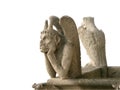 Isolated gargoyle of Notre Dame de Paris Royalty Free Stock Photo