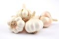 Isolated Garlic on Transparent background. AI