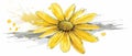 Isolated Gerbera Daisy flower with vibrant yellow head on white background. Vintage sketch style illustration created Royalty Free Stock Photo