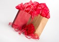 Isolated gift bags Royalty Free Stock Photo