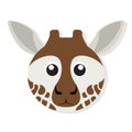 Isolated giraffe face Royalty Free Stock Photo
