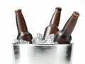 Isolated glass beer bottles in metal tare, 3d rendering