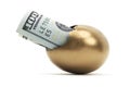 Isolated Gold Egg With Cash Royalty Free Stock Photo