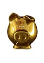 Isolated gold piggy bank