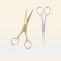 Isolated gold and silver professional hairdresser scissors