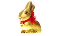 Isolated golden chocolate Easter bunny