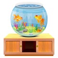 Isolated goldfish in jar on cabinet