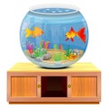 Isolated goldfish in jar on cabinet