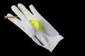 Isolated golf glove with ball and tee, on black. Royalty Free Stock Photo