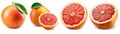 Isolated grapefruits. Collection of whole pink grapefruit and slices isolated on white background. Royalty Free Stock Photo