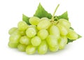 Isolated grapes bunch. Green (yellow) grapes with leaves isolated on white background Royalty Free Stock Photo