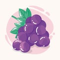 Isolated grapes Fruit icon Healthy food Vector