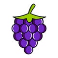 Isolated grapes icon