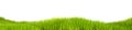 Isolated grass on a white background, 3d illustration. Grass texture for the background, 3d rendering. A green lawn Royalty Free Stock Photo