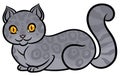 Isolated gray lying cat