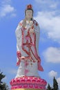 Isolated of Great Buddha statue of Guanyin stand series standing white dress with pink be standing on pink lotus in outdoor and