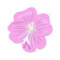 Isolated `Great Willowherb` flower vector