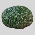 Isolated green brain on light background. Detailed brain whorls.