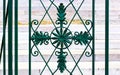 isolated wrought iron fence closeup detail. rose flower shaped decorative circular element