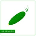 Isolated green cucumber memory training card