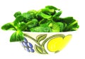 Isolated green field salad Royalty Free Stock Photo