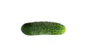 Isolated green fresh cucumber. whole cucumber isolated on white background