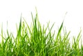 Isolated green grass pattern Royalty Free Stock Photo
