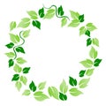 Green leaf circle Royalty Free Stock Photo