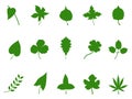 Green Leaf Silhouette Vector