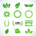 Isolated green leaves. Golden laurel leaves set. Design set for emblem, logotype. Vintage logotype, icons. Vector format.