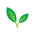 Isolated green leaves vector icon design on white background. Various shapes of green leaves of trees and plants. Elements Royalty Free Stock Photo