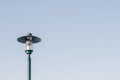 Isolated Street Lamp Under Clean Blue Sky