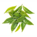 Isolated green tea leaves pile on white background, natural freshness Royalty Free Stock Photo