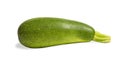 isolated green zucchini on white background Royalty Free Stock Photo
